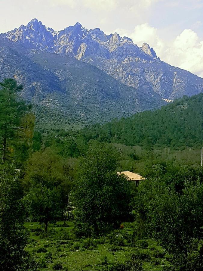Chambre D'Hotes Mantei Castirla Εξωτερικό φωτογραφία